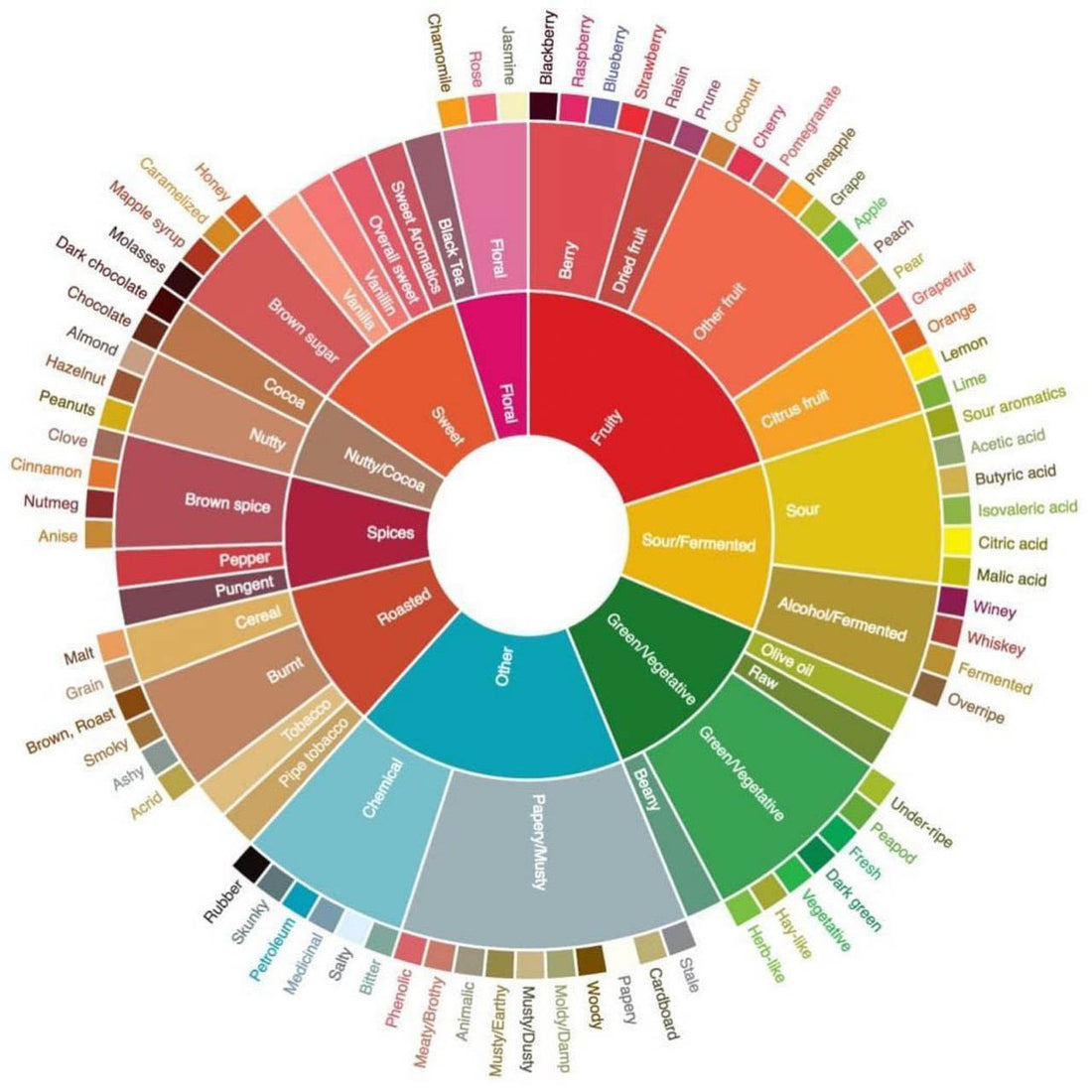 Explorando a Roda dos Sabores do Café: Entenda as Complexidades da Sua Xícara