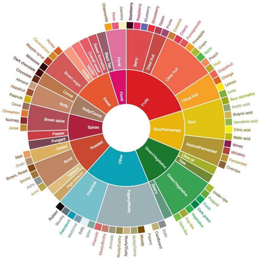 Explorando a Roda dos Sabores do Café: Entenda as Complexidades da Sua Xícara