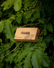 Caixa de cápsulas - NESPRESSO