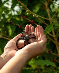 Caixa de cápsulas - NESPRESSO